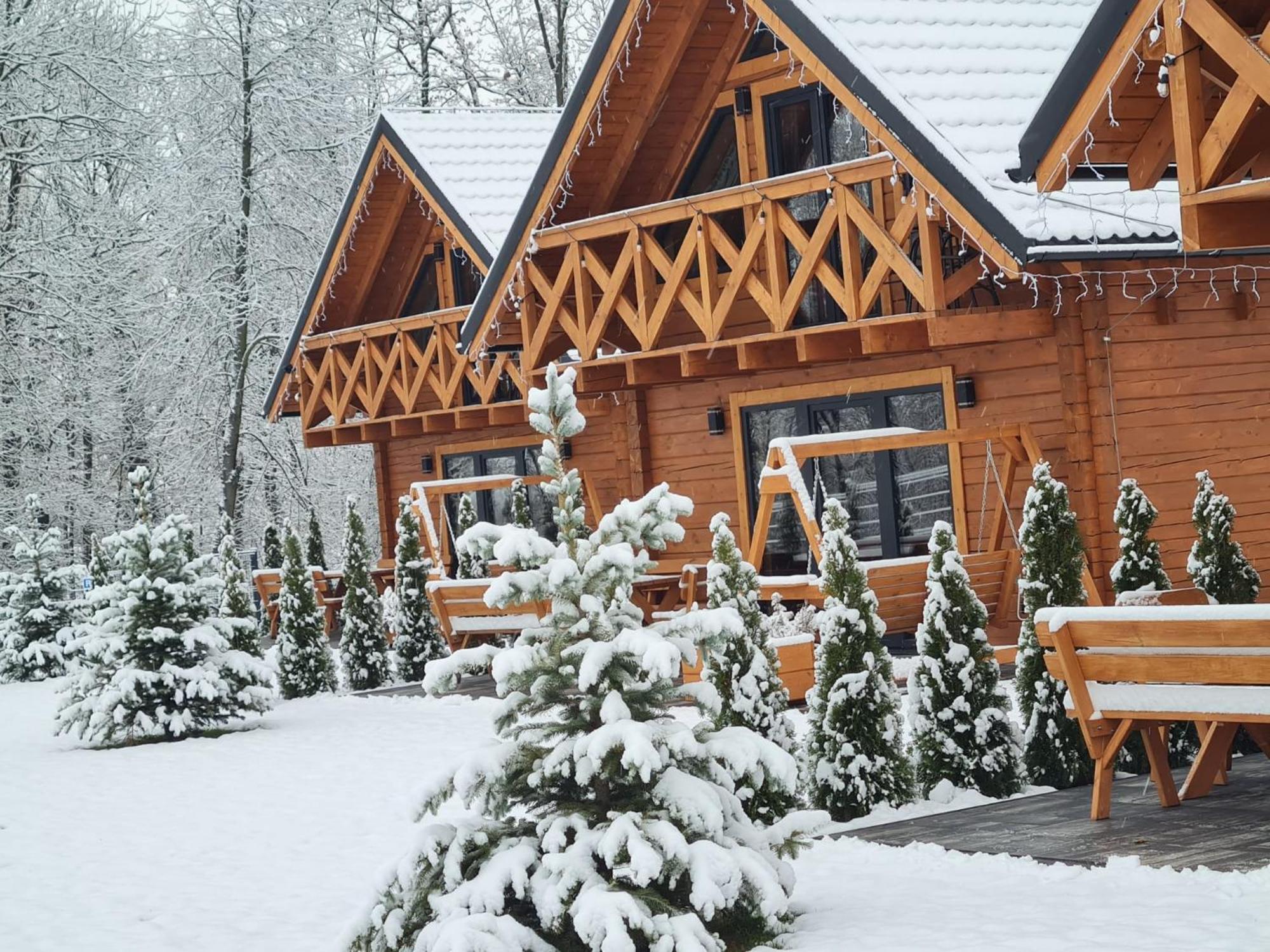 Sloneczne Domki Sudety - Domki Caloroczne Kotlina Klodzka Stary Waliszow Dış mekan fotoğraf